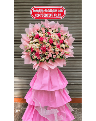 Hồng Vận Cát Tường – HKT23