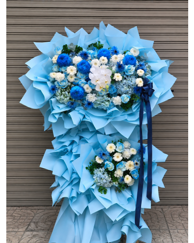 Thành Công Viên Mãn – HKT08
