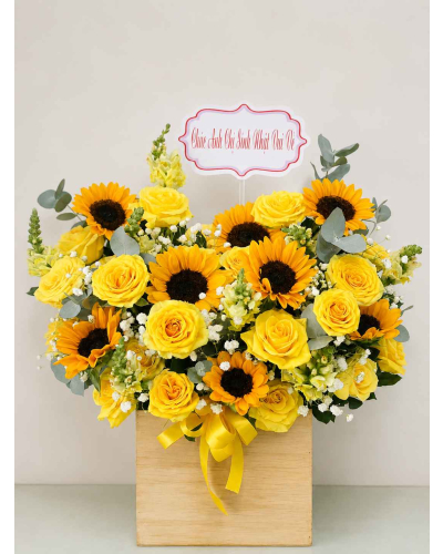 Mẫu Hoa Sinh Nhật-HSN014