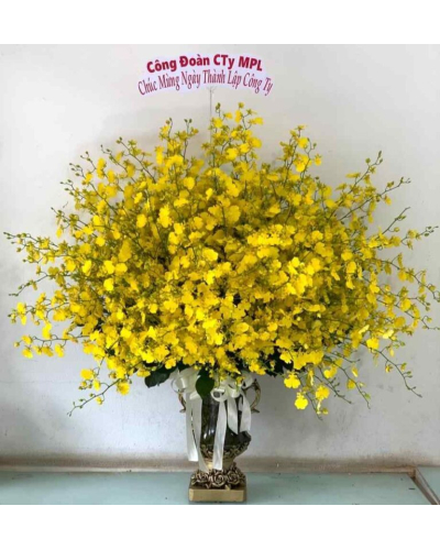 Mẫu Hoa Bình