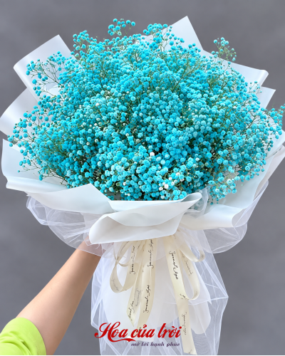 Bó Hoa Kỷ Niệm-HB116