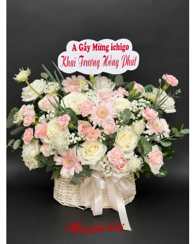Bó Hoa Ban Mai-HNL37