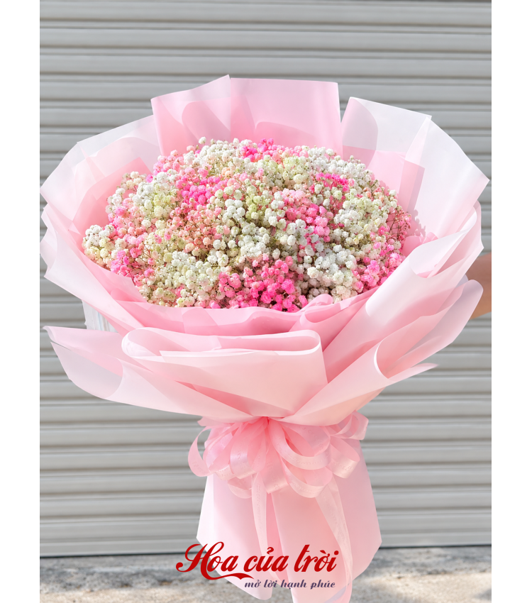 Bó Hoa Lời Yêu-HB65