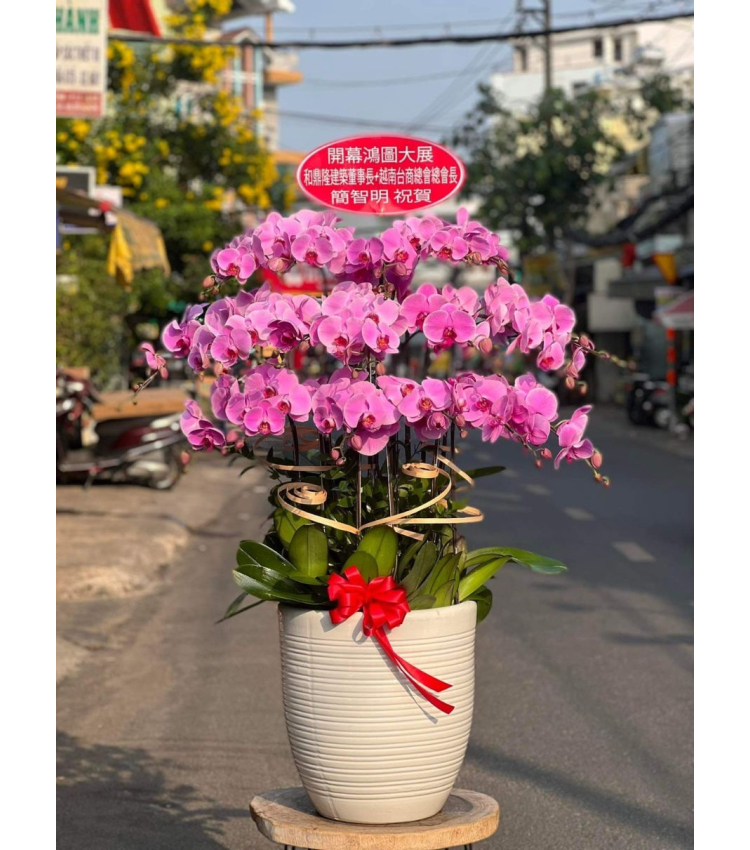 Mẫu Hoa Lan