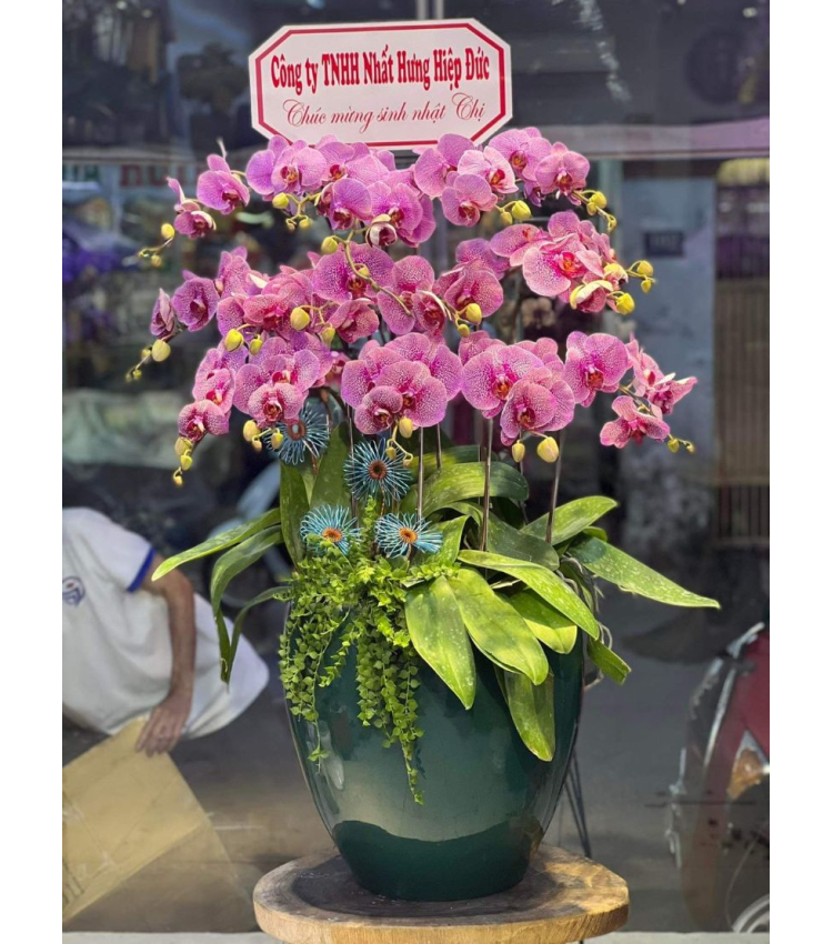 Mẫu Hoa Lan