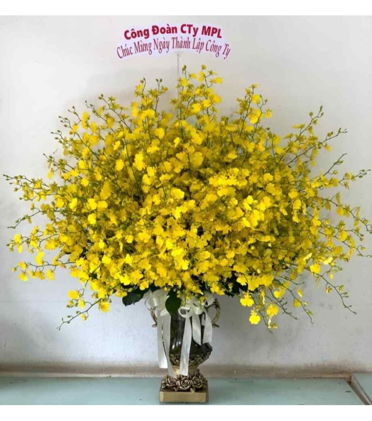 Mẫu Hoa Bình