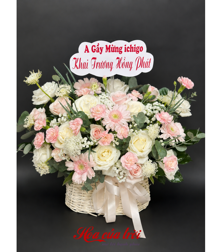 Bó Hoa Ban Mai-HNL37