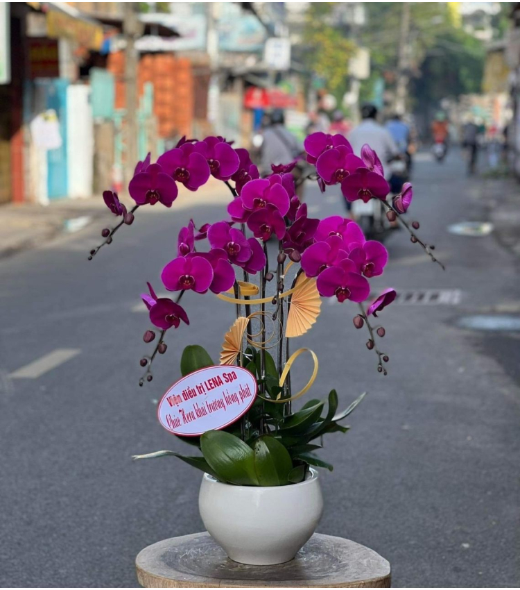 Mẫu Hoa Lan