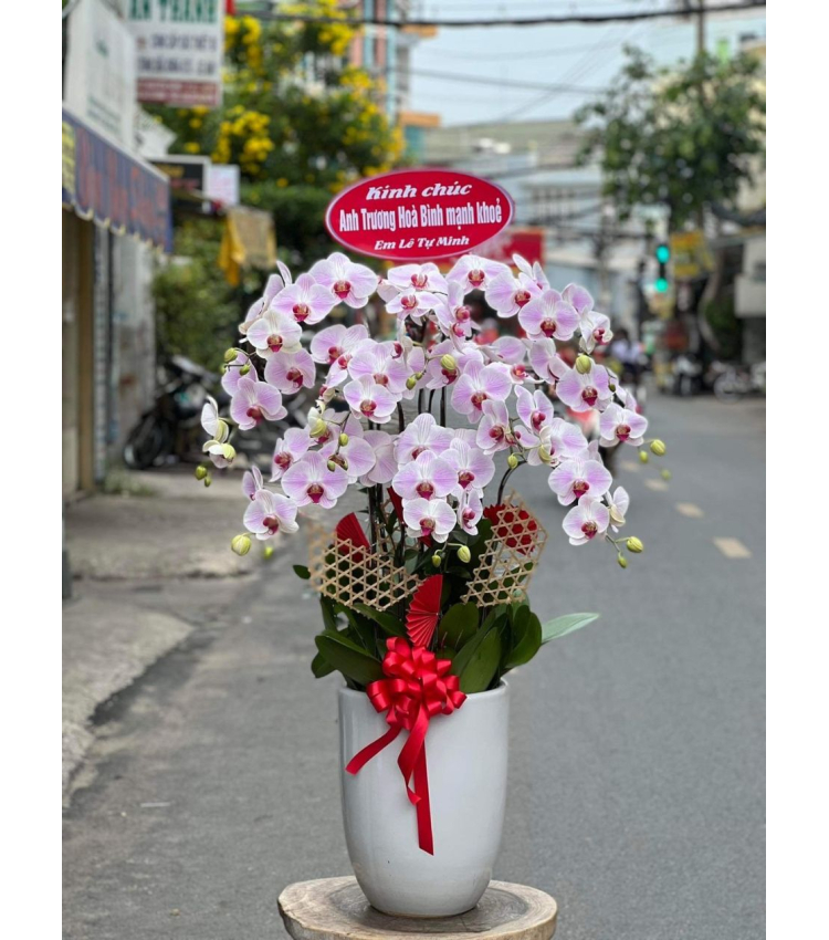 Mẫu Hoa Lan
