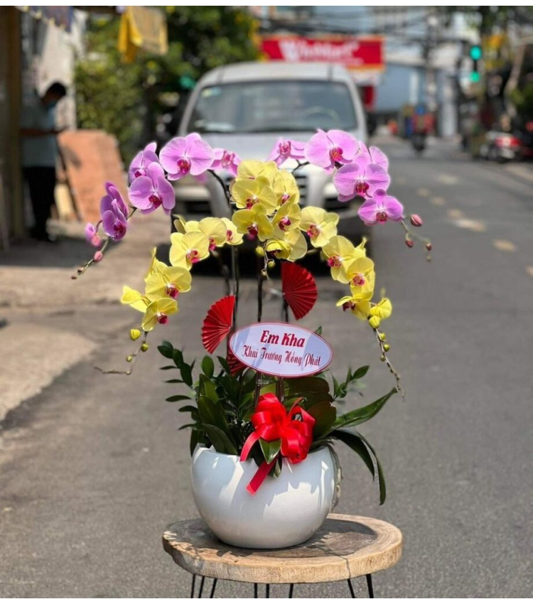 Mẫu Hoa Lan