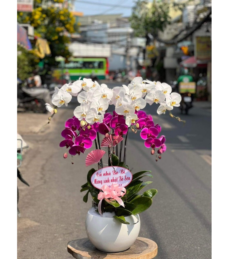 Mẫu Hoa Lan