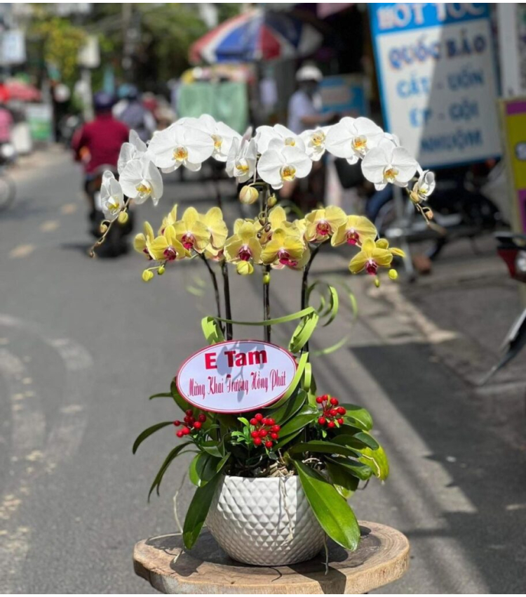 Mẫu Hoa Lan