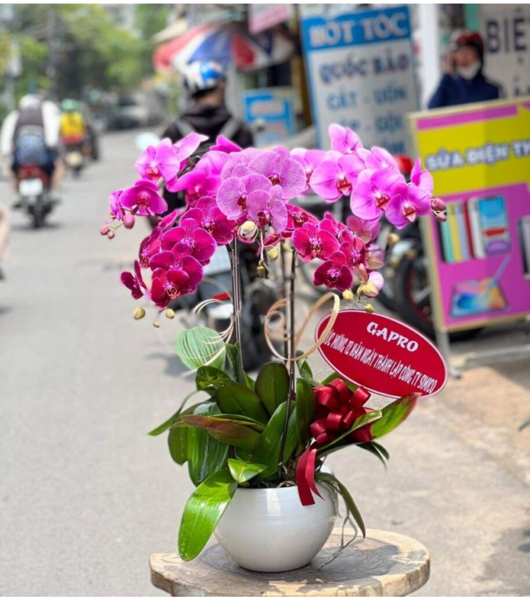 Mẫu Hoa Lan