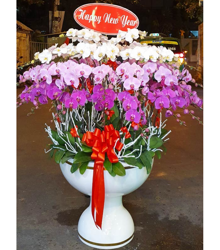 Mẫu Hoa Lan