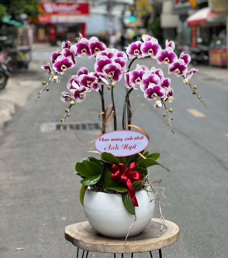 Mẫu Hoa Lan