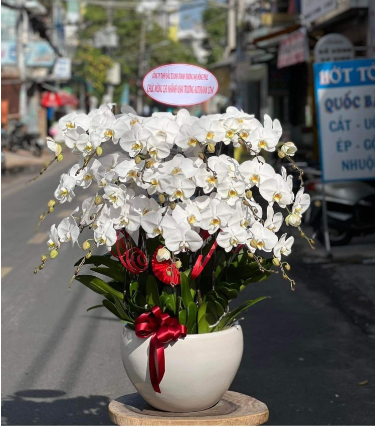Mẫu Hoa Lan