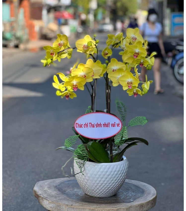 Mẫu Hoa Lan